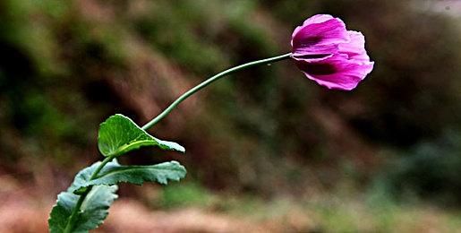 Steam Machines为Steam Deck提供了宝贵经验